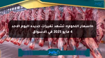 «أسعار اللحوم» تشهد تغيرات جديدة اليوم الأحد 4 مايو 2025 في الأسواق